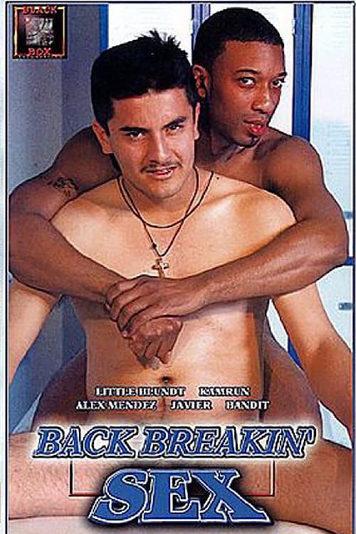 Back Breakin' Sex poster