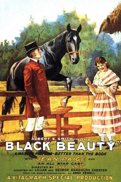 Black Beauty poster