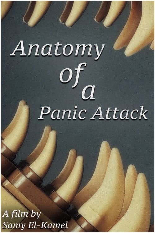 Anatomy Of A Panic Attack poster