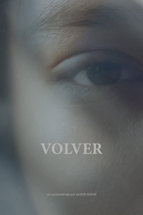 Volver poster