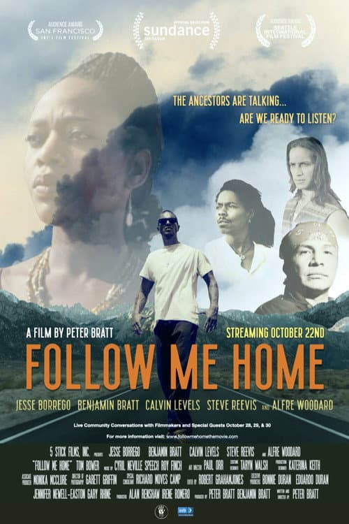 Follow Me Home poster
