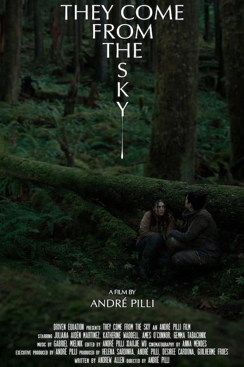They Come From the Sky poster
