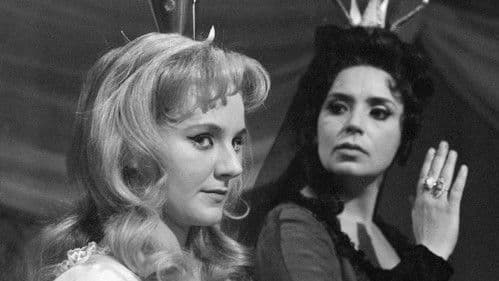 O pasáčkovi a labutích princeznách poster