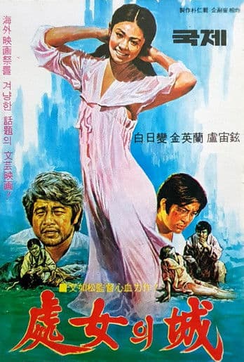 The Virgin's Castle poster
