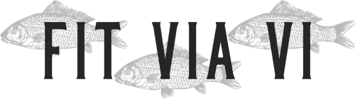 Fit Via Vi