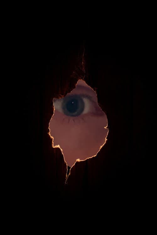 The golden monkey poster