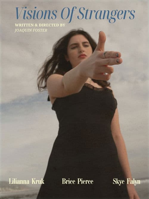 Visions Of Strangers poster