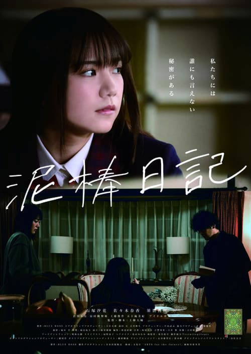 泥棒日記 poster