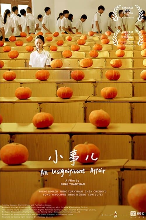 An Insignificant Affair poster
