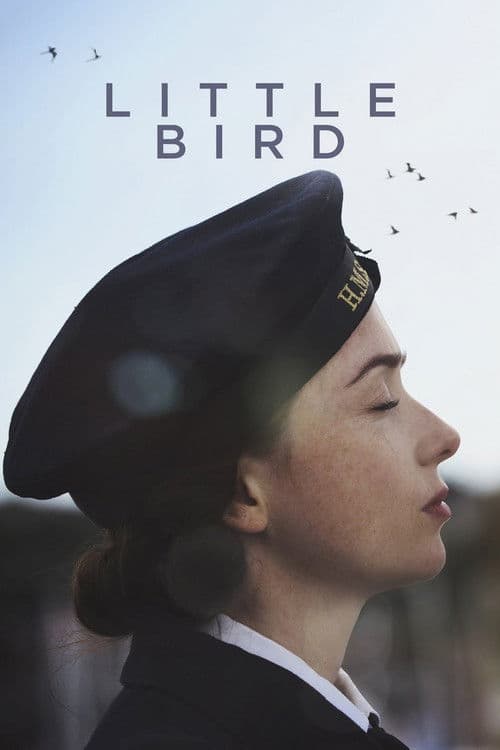 Little Bird poster