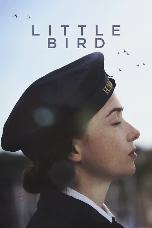 Little Bird poster