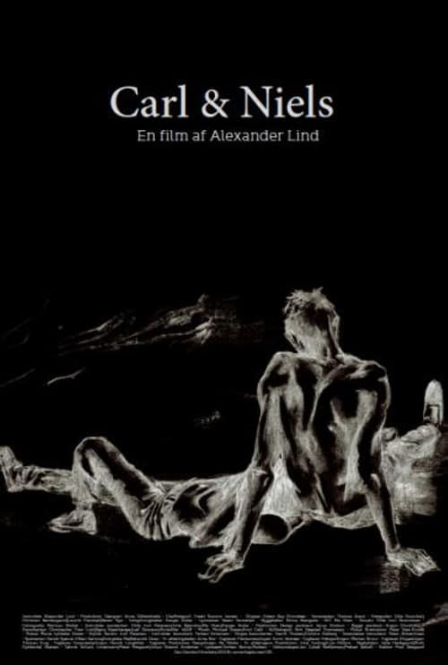 Carl & Niels poster
