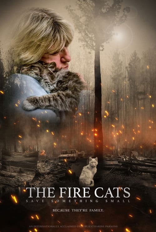 The Fire Cats: Save Something Small poster