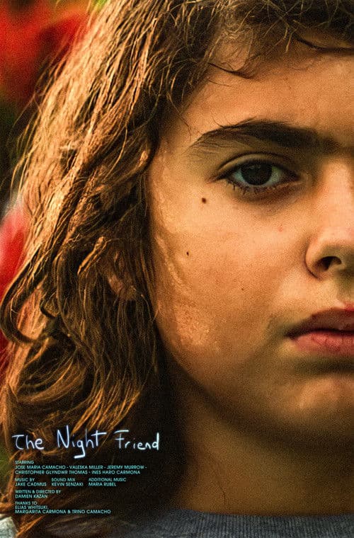 The Night Friend poster