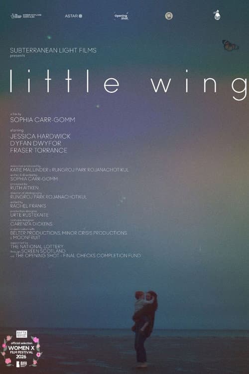 Little Wing poster