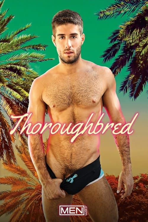 Thoroughbred poster