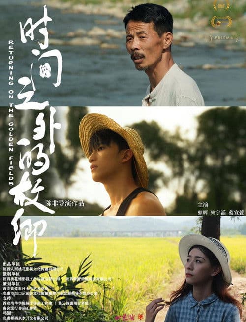 Returning On The Golden Fields poster