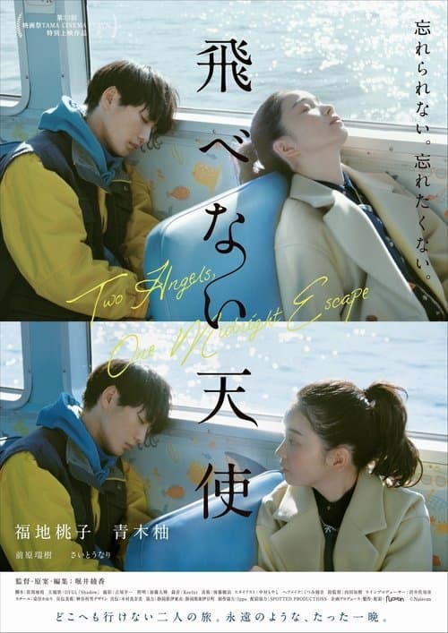 Two Angels, One Midnight Escape poster