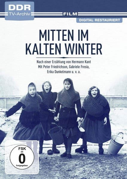 Mitten im kalten Winter poster