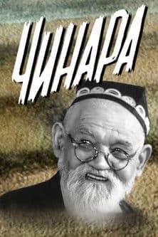 Old Plane Tree poster