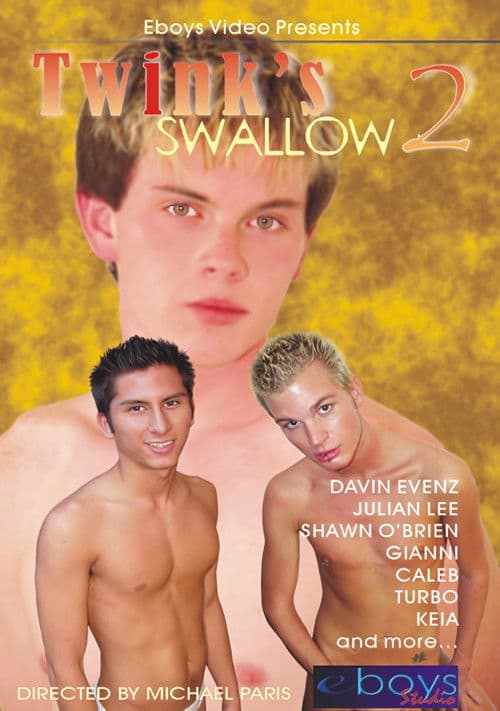 Twink's Swallow 2 poster