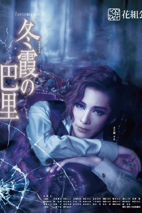 Paris in the Winter Fog poster