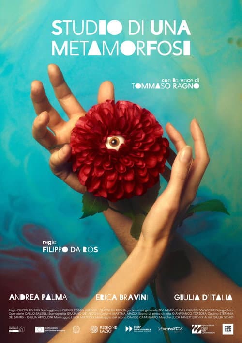 Studio di una metamorfosi poster