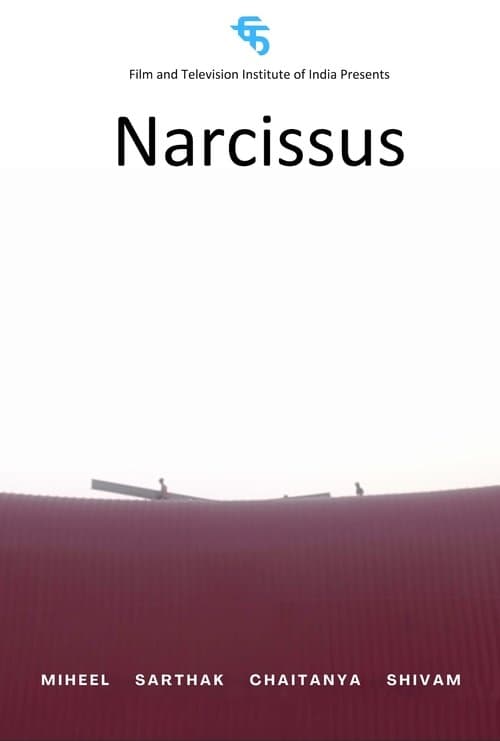 Narcissus poster