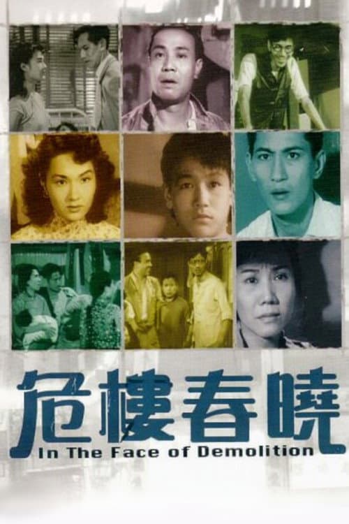 In the Face of Demolition poster