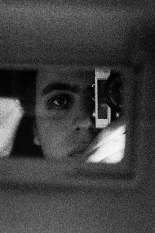 Zohar Goldman profile photo