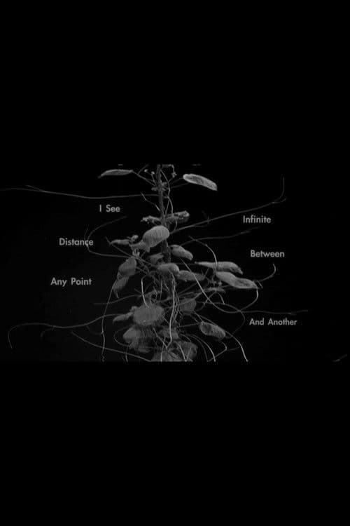 I See Infinite Distance Between Any Point and Another poster