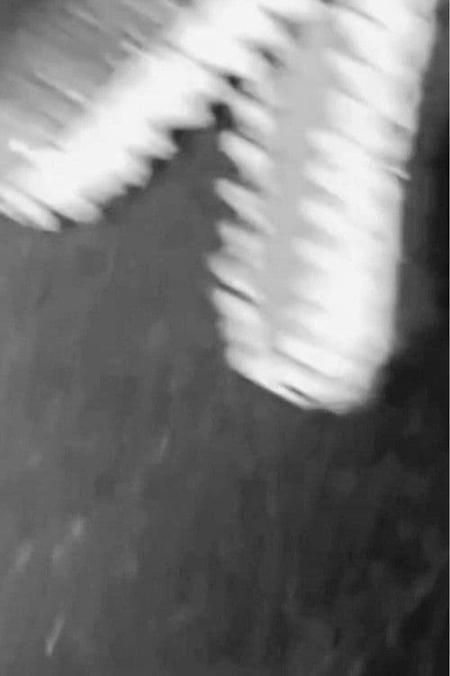 Dinosaur Farm B&W poster