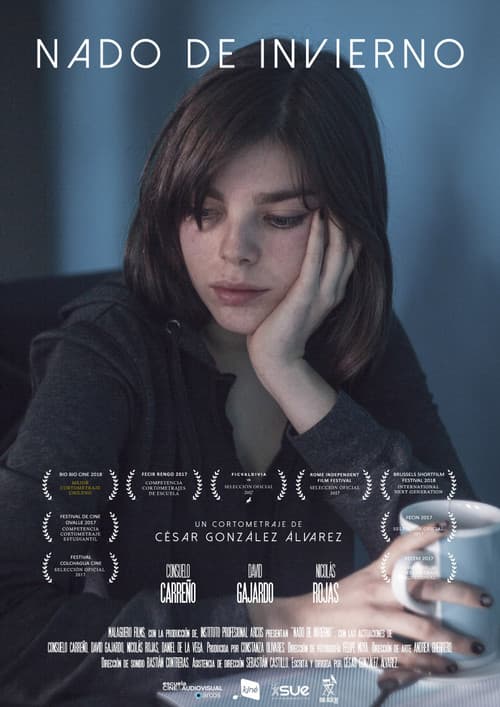 The Winter Swim poster