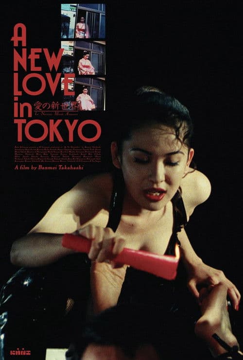 A New Love in Tokyo poster
