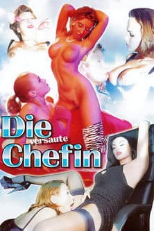 Die versaute Chefin poster