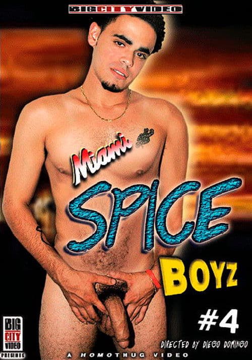 Miami Spice Boyz 4 poster