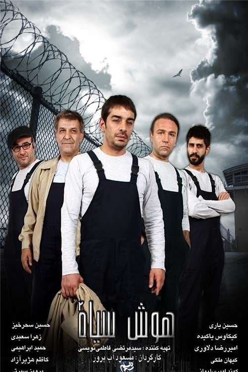 Black Intelligence poster