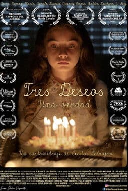 THREE WISHES. ONE TRUTH. poster