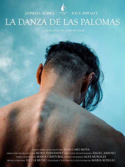 La danza de las palomas poster