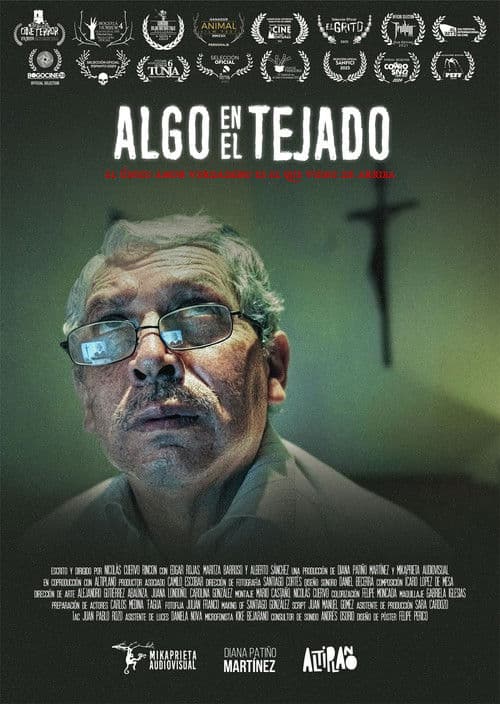 Something on the roof poster