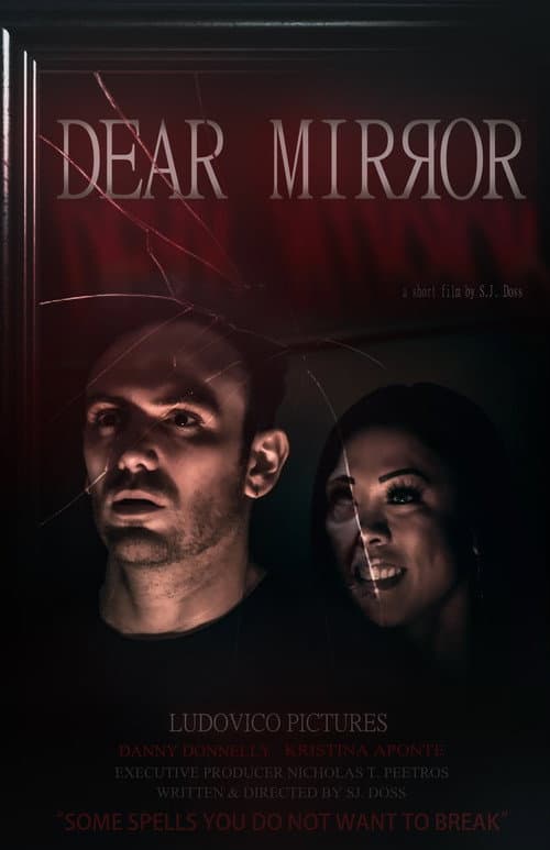 Dear Mirror poster