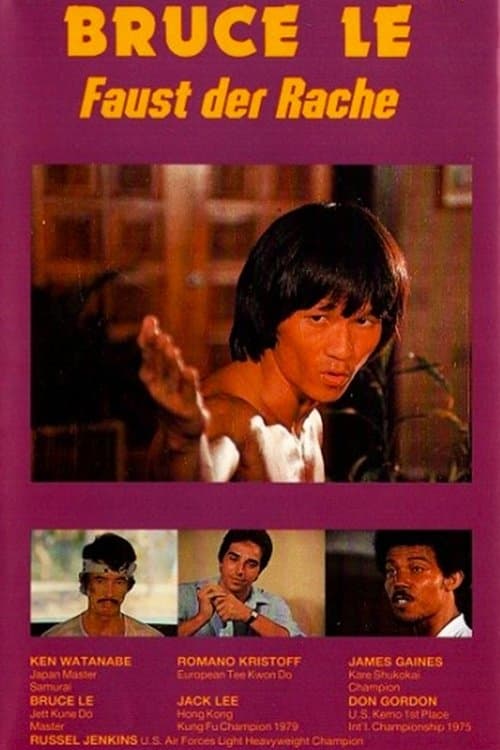 Bruce's Fists Of Vengeance poster