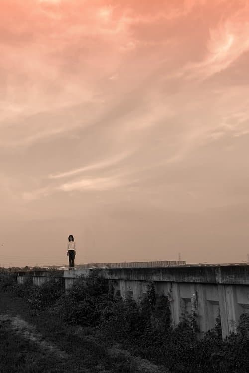 20th December poster