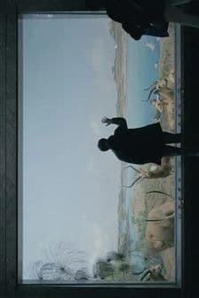 Hasta La Vista poster