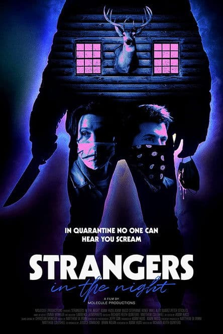 Strangers in the Night poster