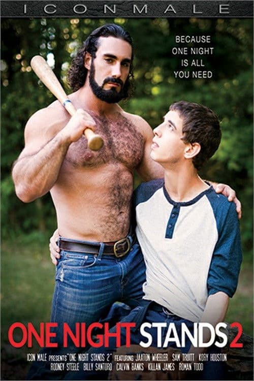 One Night Stands 2 poster