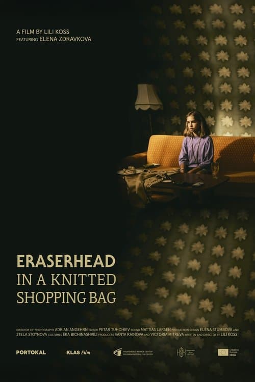 Eraserhead in a Knitted Shopping Bag poster