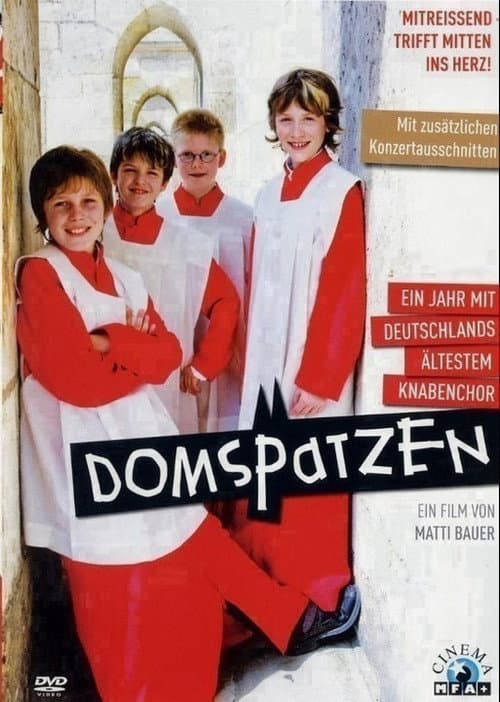 Domspatzen - Ein Jahr mit Deutschlands ältestem Knabenchor poster