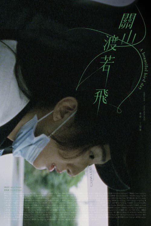 A Beautiful Bird Day poster