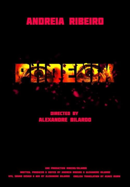 Phoenix poster